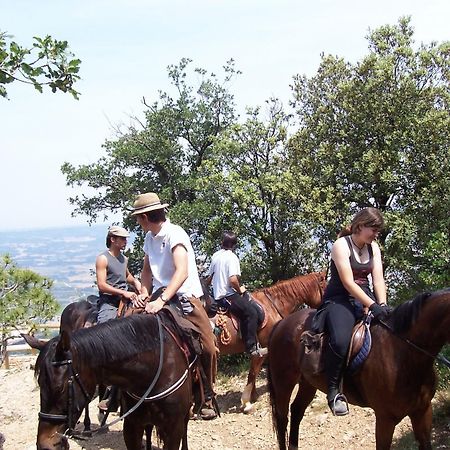 Hotel Rural Ocell Francoli Espluga de Francoli Bagian luar foto